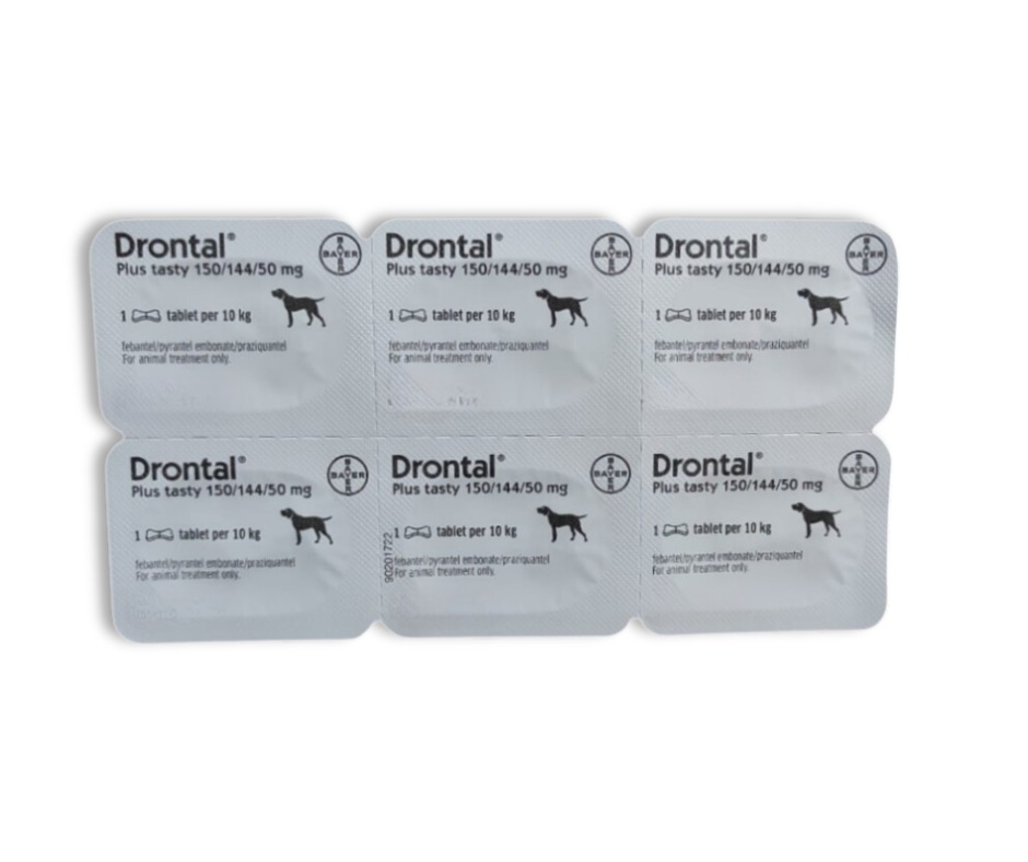 Drontal tablets hotsell for puppies